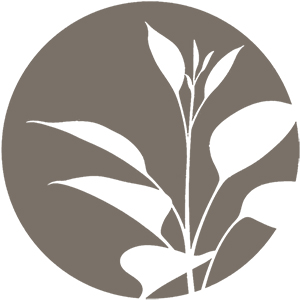 Brown Plant Icon